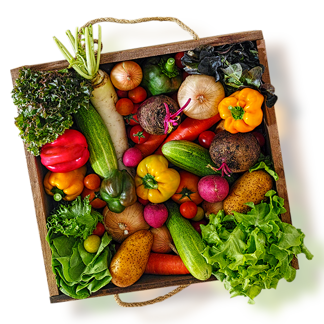 ようこそ JAひまわりホームページへ