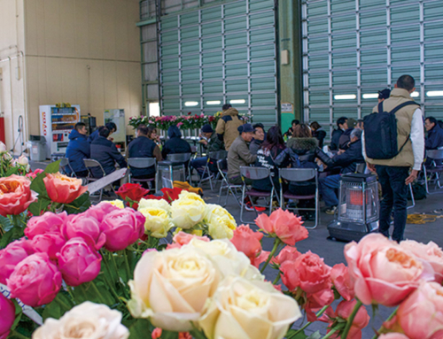 【バラ部会が産地ツアーを開催】市場・仲卸・生花店らが温室を訪問