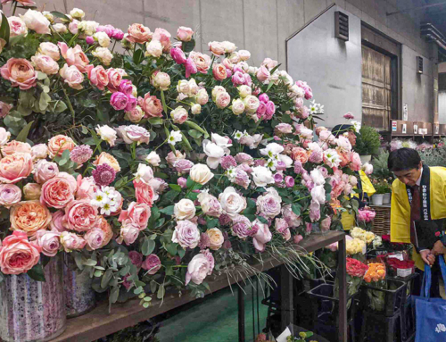 【バラ部会員が東京の市場内の生花店でフェアを開催】消費者と直接触れ合う機会に
