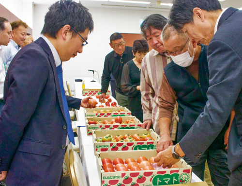 【とまと部会が目揃会と出荷会議を開く】出荷規格の確認と品質の維持を呼びかけ