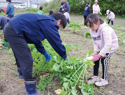 【令和6年度わい！わい！農園最終回】ダイコンとジャガイモを収穫