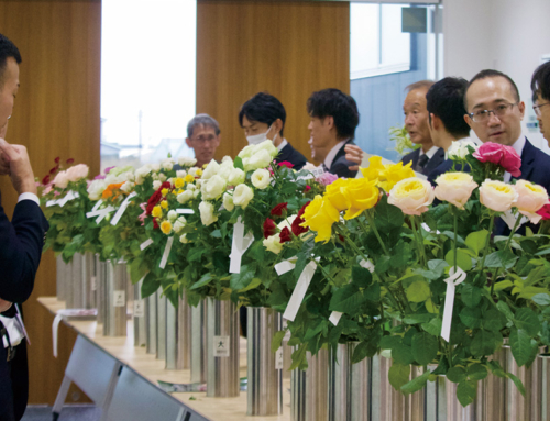 【バラ出荷会議を開催】生産者が市場関係者らと積極的な意見交換