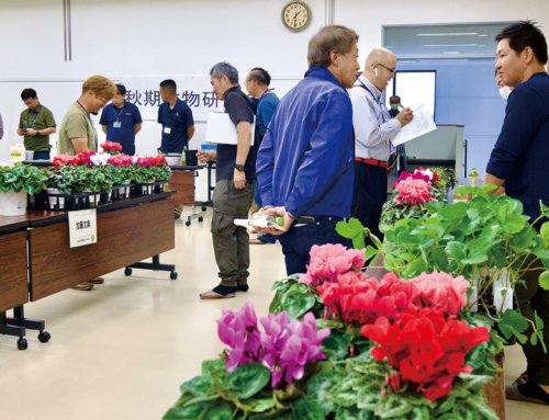 【秋期鉢物研修会を開催】冬商戦本格化を前に市場関係者と意見交換