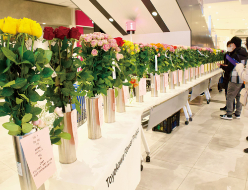 【豊川市産花き展示イベントを開催】とよかわフラワープロジェクトで魅力発信