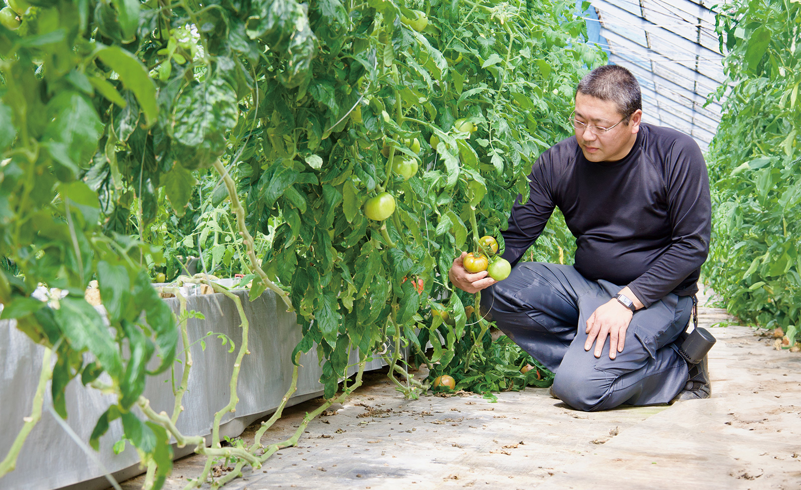 202604nou1 とまと部会所属 長坂 満さん