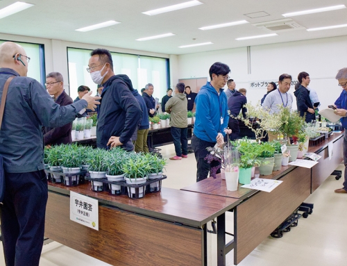 【ポットプランツフェスタ2026春】生産者と市場関係者が交流を深める