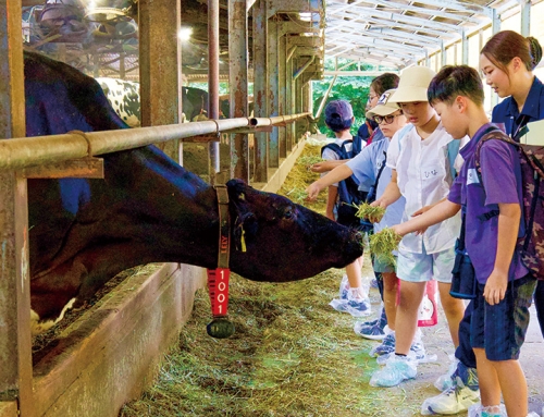 【「ウラガワ見せちゃいます！ツアー」を実施】牧場や出荷施設を見学し地域農業の魅力を学ぶ